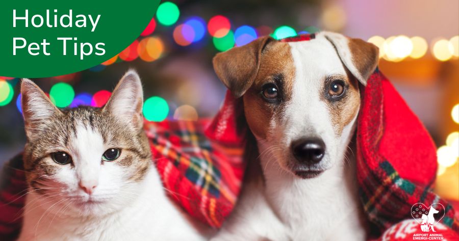 Making Spirits Bright: Holiday Pet Safety Tips