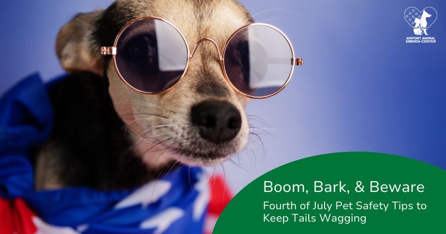 Boom, Bark, and Beware
