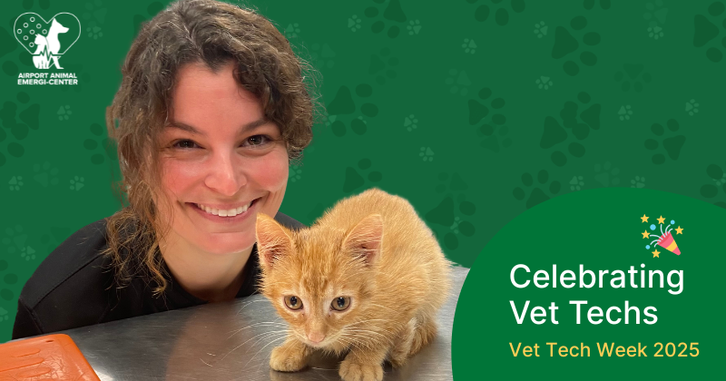 Celebrating National Vet Tech Week