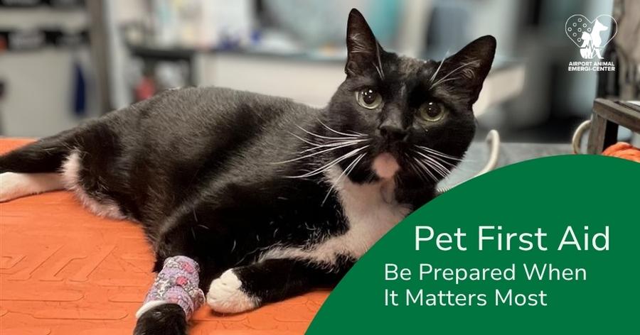Pet First Aid Awareness