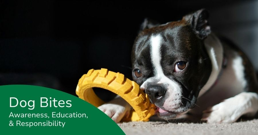 Dog Bite Prevention Week