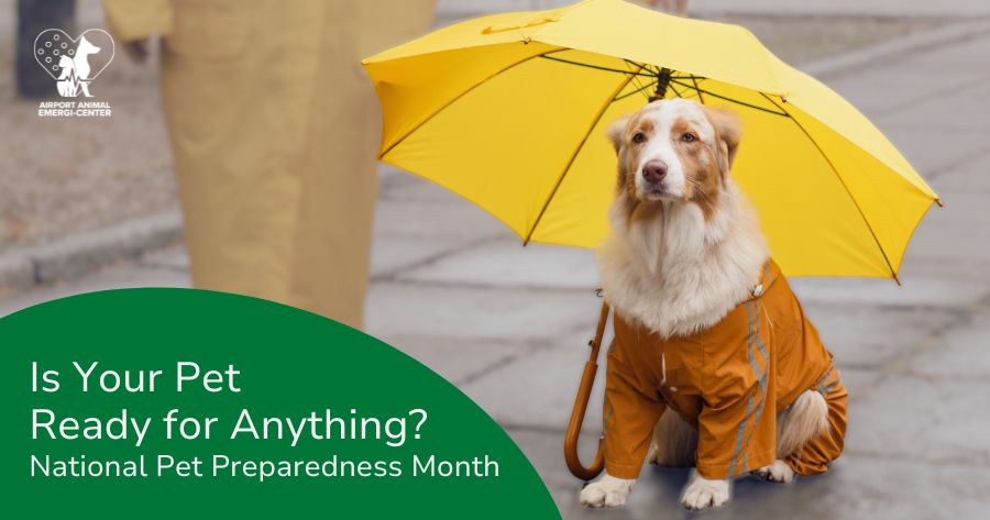National Pet Preparedness Month